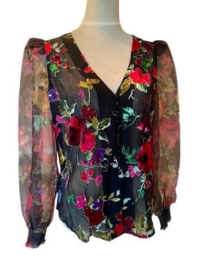 Boston Proper Bold Floral Organza Print Sheer V-Neck Long Sleeve Blouse